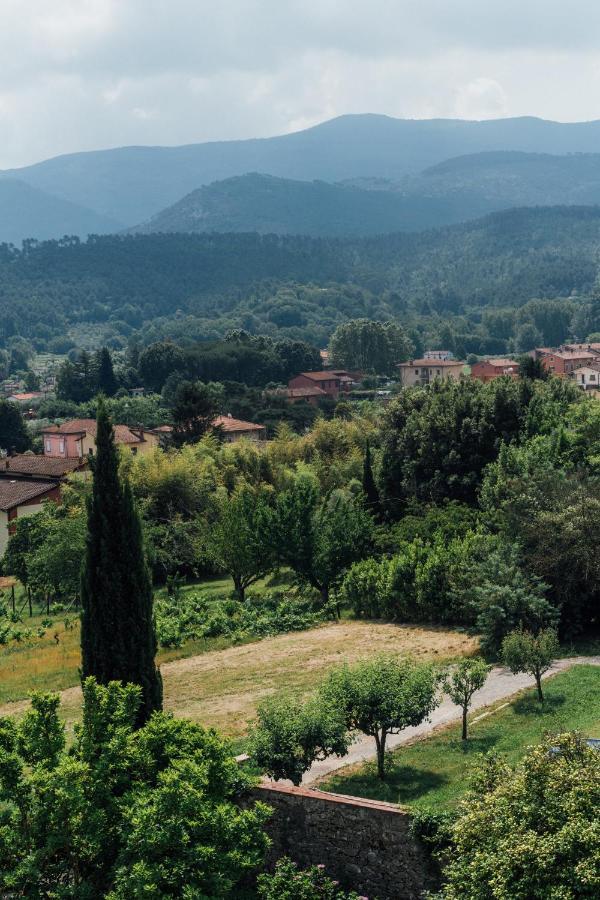 Buonvisi B&B Lucca Eksteriør billede