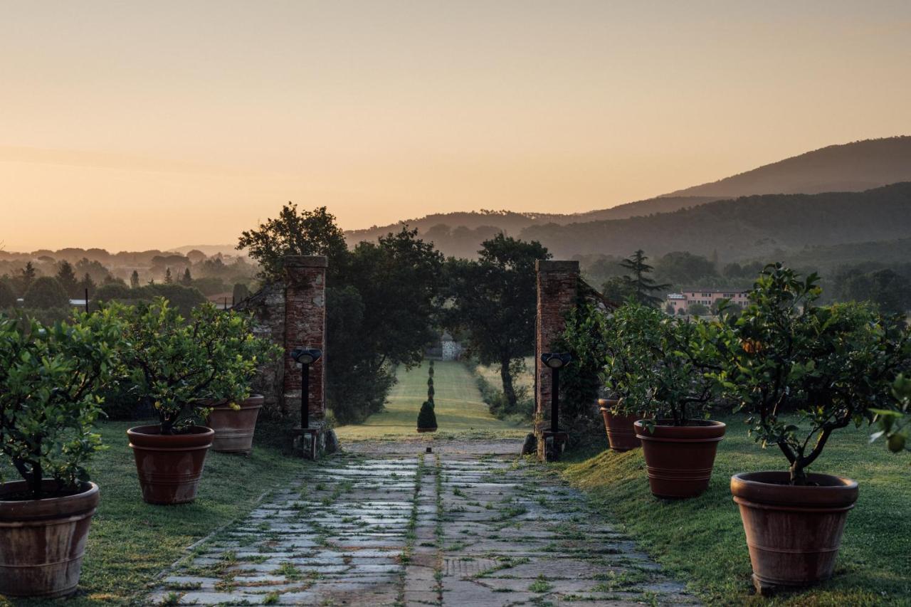 Buonvisi B&B Lucca Eksteriør billede